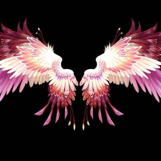 Pink angel wallpaper