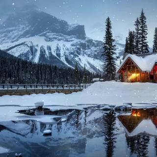 Cozy cabin wallpaper