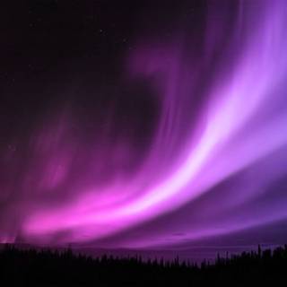 Purple aurora wallpaper