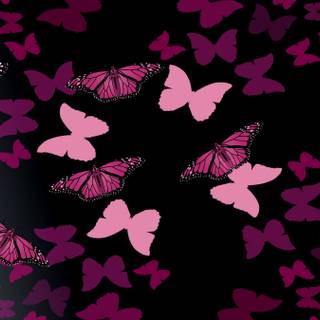 Butterfly pattern wallpaper