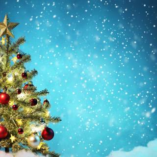 Merry Christmas trees wallpaper