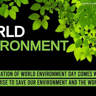 Save environment wallpaper