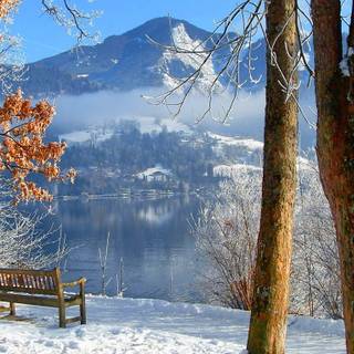 Daytime winter wallpaper