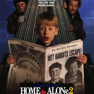 Home Alone 2: Lost in New York wallpaper