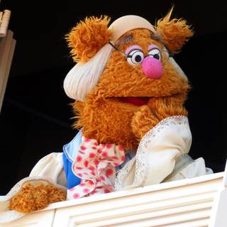Fozzie Bear wallpaper