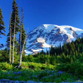 USA nature wallpaper