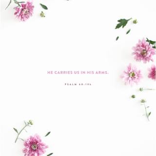 Bible verse 4k iPhone wallpaper