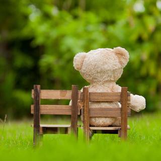 Sad teddy bear wallpaper