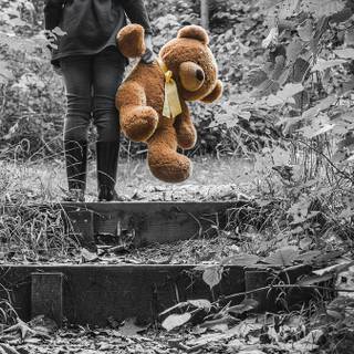 Sad teddy bear wallpaper