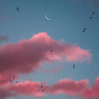 Pretty sky wallpaper