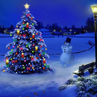 Christmas tree beauty wallpaper