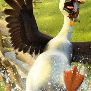 Duck Duck Goose wallpaper