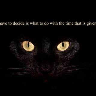 Words of wisdom wallpaper