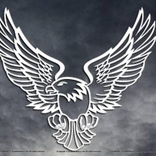 Eagle black wallpaper