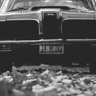 Mercury Cougar wallpaper