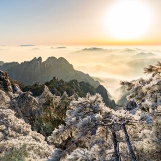 Winter China wallpaper