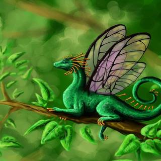 Butterfly wings wallpaper