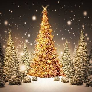 Tree Merry Christmas wallpaper