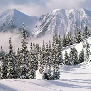 Cozy winter profile wallpaper