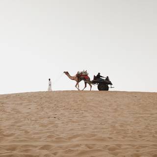 Thar Desert wallpaper