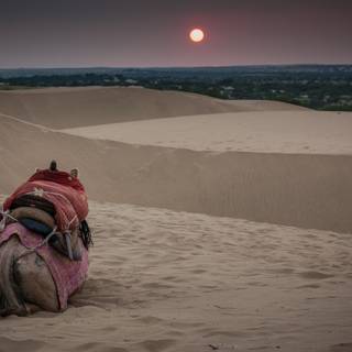 Thar Desert wallpaper