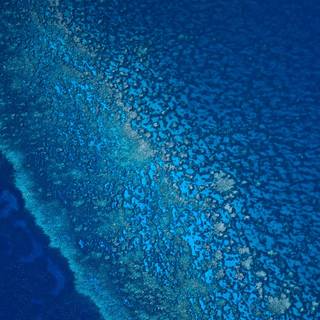 Mac OS X Lion wallpaper