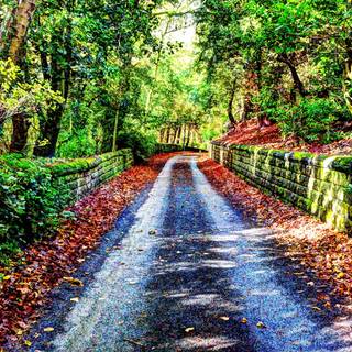 8k resolution wallpaper