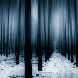 iPad dark winter forest wallpaper