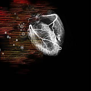 Cardiac wallpaper