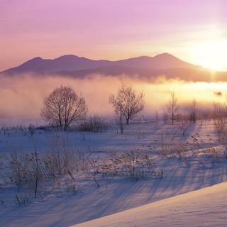 Aesthetic desktop winter wallpaper