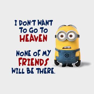 Minion memes wallpaper