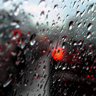 Car window wallpaper