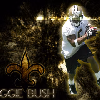 Reggie Bush wallpaper