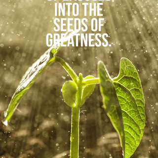 Robin Sharma wallpaper