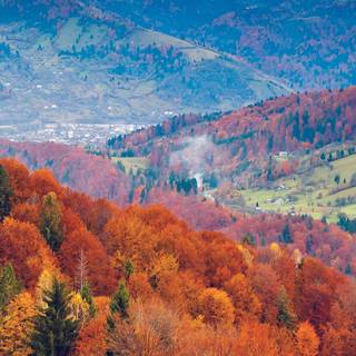 iPhone SE autumn wallpaper