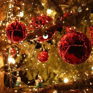 Cool Christmas desktop wallpaper