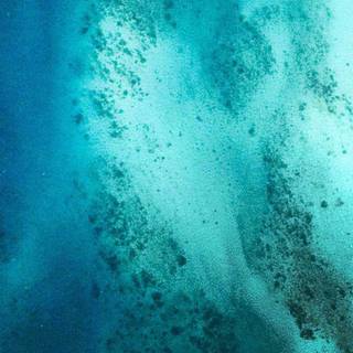 Aqua green wallpaper