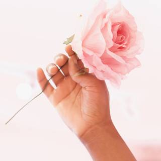 Flower in hand wallpaper