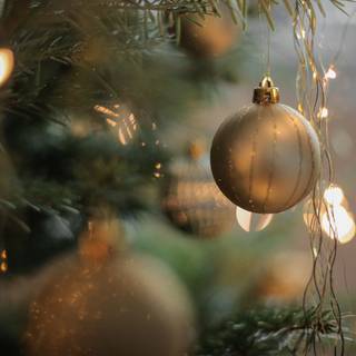 Christmas reflection wallpaper