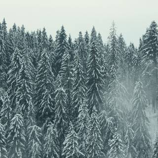 December 2021 calendar wallpaper