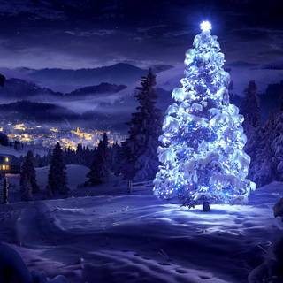 Pine tree Christmas snow wallpaper