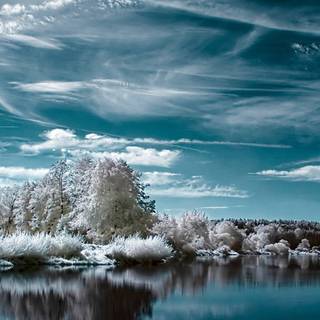 Winter lake phone wallpaper