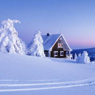 Winter cabin trees wallpaper