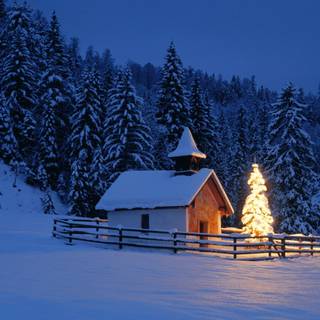 Winter cabin trees wallpaper