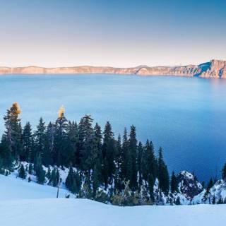 Forest winter 3440x1440 wallpaper