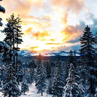 iPhone winter lake wallpaper