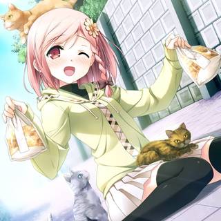 Cute cat anime wallpaper