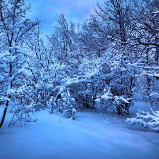 Winter night 3440x1440 wallpaper