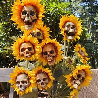 Skull and sunflowers wallpaper