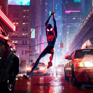 Spider-Man: Across the Spider-Verse wallpaper